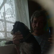 ���������� ������, ���� ������� ���� ������, 65 ���, ������������ ��� c�������� ���������, ���������