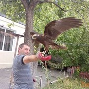 ���������� ������, ���� ������� Vle, 50 ���, ������������ ��� ������