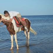 ���������� ������, ���� ������� Adkins, 33 ����, ������������ ��� ������, ����� � ���������