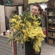 ���������� ������, ���� ������� �������, 49 ���, ������������ ��� ������, ����� � ���������, c�������� ���������