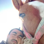  ,  Abdulatif, 41
