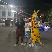  ,   , 31 ,   ,   , c , 