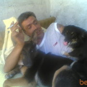  ,   Gendos, 53 ,   