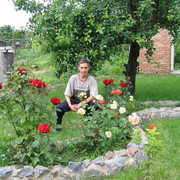  ,   , 52 ,  