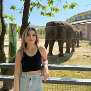 ���������� �����, ���� ������� ��������, 32 ����, ������������ 