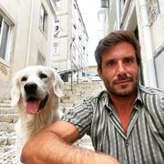 ���������� ���������, ���� ������� ���������, 37 ���, ������������ ��� ����� � ���������, c�������� ���������