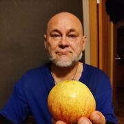 ���������� �����, ���� ������� ANDR, 65 ���, ������������ ��� ������, ����� � ���������