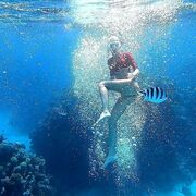 ���������� ������, ���� ������� ��������, 34 ����, ������������ ��� ������, ����� � ���������, ���������