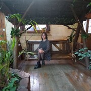 ���������� ������, ���� ������� �������, 43 ����, ������������ ��� c�������� ���������