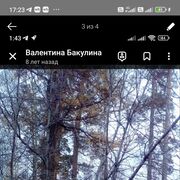 ���������� �������, ���� ������� ���������, 71 ���, ������������ ��� c�������� ���������