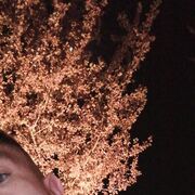 ���������� ���������, ���� ����� �����, 24 ����, ������������ ��� ������, ����� � ���������, ���������