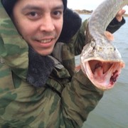 ���������� ���������, ���� ������� ������, 40 ���, ������������ ��� ������, ����� � ���������, c�������� ���������