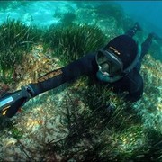 ���������� ������, ���� ������� �����, 54 ����, ������������ ��� ������, ����� � ���������, c�������� ���������