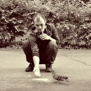  ,   , 33 ,   