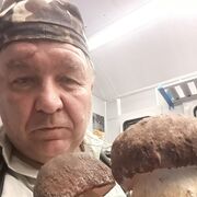  ,   , 62 ,   ,   