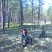 ���������� �����������, ���� ������� ���������, 38 ���, ������������ ��� ������