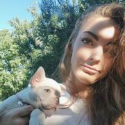 ���������� �����, ���� ������� ������, 38 ���, ������������ ��� c�������� ���������