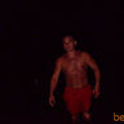 ,   Panda, 38 ,   