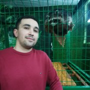 ���������� ���������, ���� ������� ����, 33 ����, ������������ ��� ������, ����� � ���������, c�������� ���������