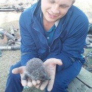 ���������� �������, ���� ������� �������, 34 ����, ������������ ��� ������, ����� � ���������, c�������� ���������