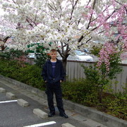 ���������� �����������, ���� ������� ���������, 55 ���, ������������ ��� ������