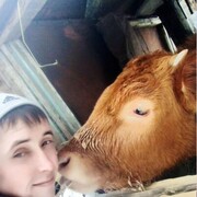 ���������� ���������, ���� ������� ����, 27 ���, ������������ ��� ������, ����� � ���������, c�������� ���������, ���������