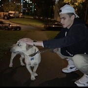 ���������� ������, ���� ����� ����, 22 ����, ������������ ��� ������, ����� � ���������