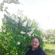  ,   , 54 ,   c , 