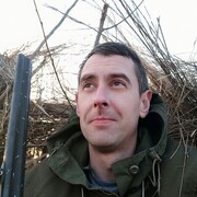 ���������� ������, ���� ������� ����, 37 ���, ������������ ��� ������, ����� � ���������