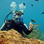 ���������� ������, ���� ������� �����, 43 ����, ������������ ��� ������, ����� � ���������, c�������� ���������, ���������