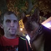 ���������� ����, ���� ������� ������, 36 ���, ������������ ��� ������, ����� � ���������, c�������� ���������