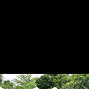 ���������� ������, ���� ������� �������, 40 ���, ������������ ��� ������, ����� � ���������