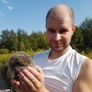 ���������� �����������, ���� ������� ������, 37 ���, ������������ ��� ������, ����� � ���������, c�������� ���������, ���������