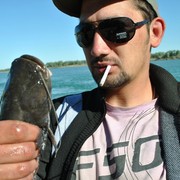  ,   Maksim, 38 ,   ,   , c 