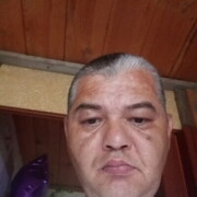  ,   , 48 ,   ,   