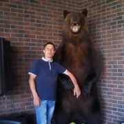 ���������� �������, ���� ������� ���������, 38 ���, ������������ ��� ������, ����� � ���������, c�������� ���������