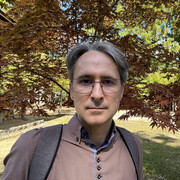 ���������� �����, ���� ������� �����, 43 ����, ������������ ��� c�������� ���������, ���������