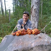 ���������� ������� ��������, ���� ������� ��������, 52 ����, ������������ ��� ������, ����� � ���������, c�������� ���������, ���������