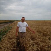 ���������� �����, ���� ������� �������, 43 ����, ������������ ��� ������, ����� � ���������, c�������� ���������, ���������