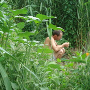 ���������� ������, ���� ������� �����, 41 ���, ������������ ��� ������, ����� � ���������, c�������� ���������