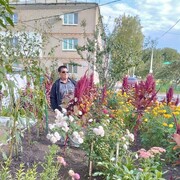 ���������� ������, ���� ������� ��������, 57 ���, ������������ ��� ����� � ���������, c�������� ���������, ���������