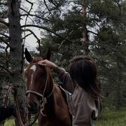 ���������� ������, ���� ������� �������, 23 ����, ������������ ��� ������, ����� � ���������