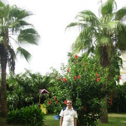  ,   , 70 ,   ,   , c 