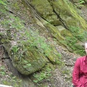 ���������� ����, ���� ������� ���������, 38 ���, ������������ ��� ������, ����� � ���������, c�������� ���������