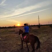 ���������� ����� �������, ������ �����, 24