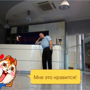  ,   , 55 ,  