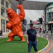 ���������� ������, ���� ������� �������, 55 ���, ������������ ��� ������, ����� � ���������