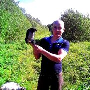 ���������� �����-���������, ���� ������� ������, 38 ���, ������������ ��� ����� � ���������, c�������� ���������, ���������