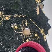 ���������� �����, ���� ������� ����, 33 ����, ������������ ��� ������, ����� � ���������