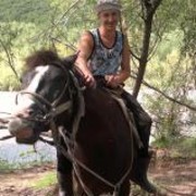  ,   , 43 ,   